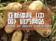 产品展示标题2