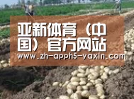 种植基地八