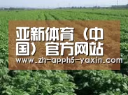 种植基地五