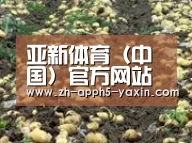 种植基地八(图1)